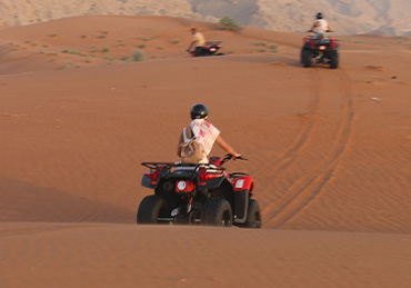 Quad Safari with Camel Trekking 